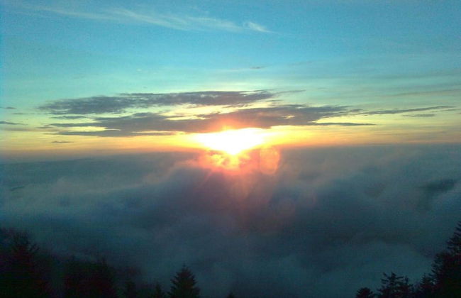 Ferienwohnung im Malerischen Kniebis - Foto 35
