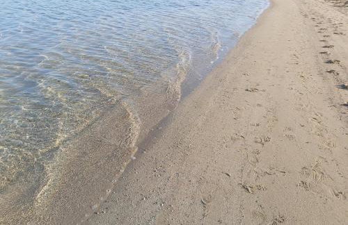 Iris Sabunike - Photo 17