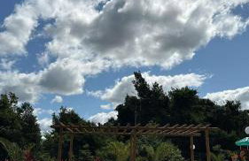 Terra Mater Residencial - Foto 2