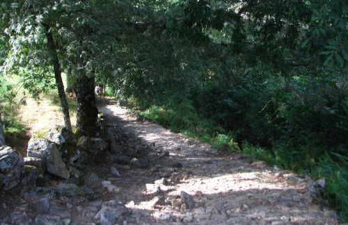 Casa do Castanheiro - Foto 13