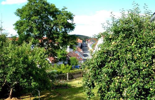 Frankenau Fewo Kellerwald - Foto 14