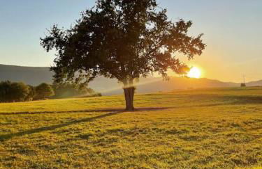 Ozollo Bekoa - Casa con piscina en el corazón de Urdaibai. - Foto 46
