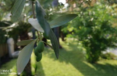 Maresole tra l'Etna e Taormina - Foto 38