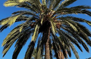 Stunning Molino Blanco La Zenia - Foto 25