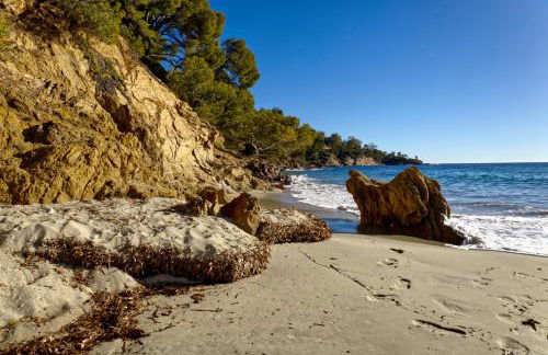 le verger des naiades - Foto 50