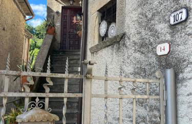 Alloggio nel Parco Alpi Apuane - Carnevale di Viareggio - Foto 22