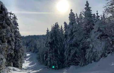 Appmt 4 pers aux pieds des pistes - Foto 11