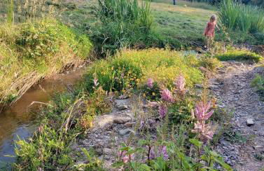 Le Moulin de Pouzoult - Foto 17