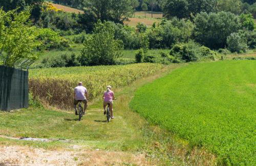 Todi Truffle - Photo 27
