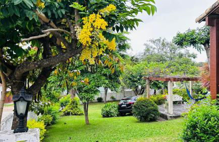 Casa Sitio Região dos Lagos 1200m2 terreno- S Pedro DAldeia - Foto 52
