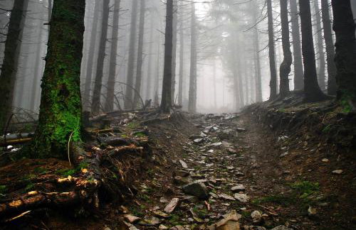 APARTAMENT GRABINKA - 100 m2 - Foto 20