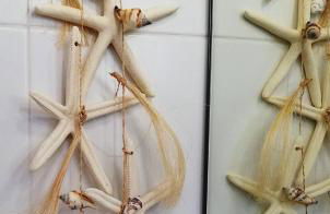 Calamilloraptm2 - Foto 29