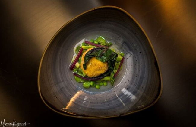 Norweska Dolina Luxury Resort - Foto 44