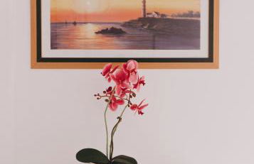 Miriam Costa de la luz 2 - Foto 21