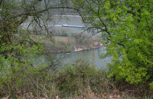 Ferienwohnung Bacharach - Photo 17