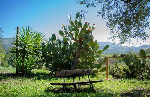 Limosa Country House - Photo 33