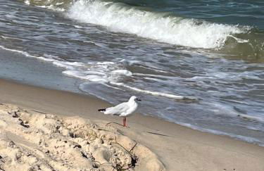 Erik & Himmelsmeer - Foto 19