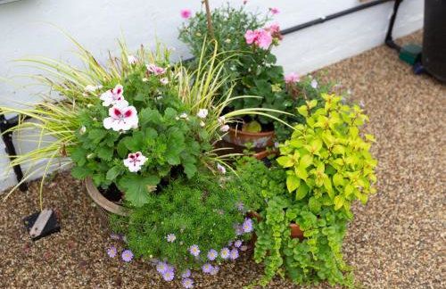 Little England Cottage - Foto 17