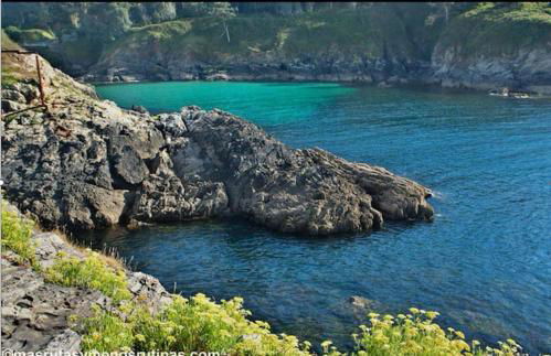 O REMANSO do CORGO - Foto 29