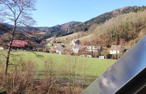 Ferienwohnungen Steiert - Foto 38