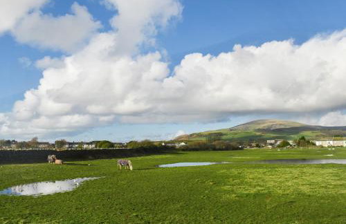 Cookies Corner - Photo 19