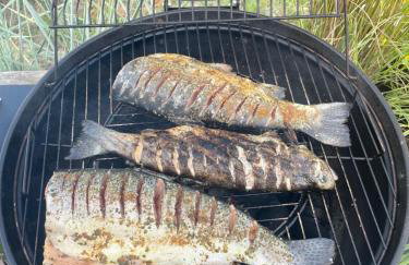 DoWielina - domki wśród natury - Foto 36