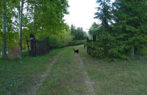 Agroturystyka na wsi w borach tucholskich - Foto 6