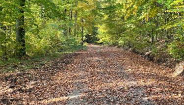 Hexenhüsli Waake - Foto 4