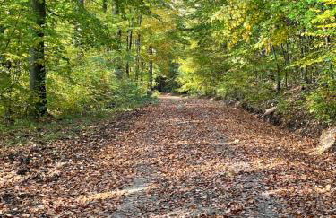 Hexenhüsli Waake - Foto 4