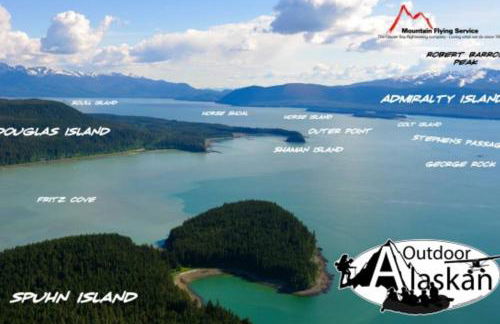 Douglas Island A-frame Cabin in the woods - Foto 26