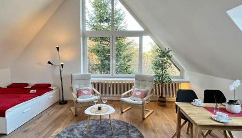 Apartment Falkennest - mit Blick auf den Titisee by Interhome - Foto 4