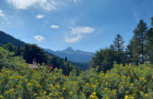 Duplex 59m2 - proche centre - balcon plein sud - Foto 11