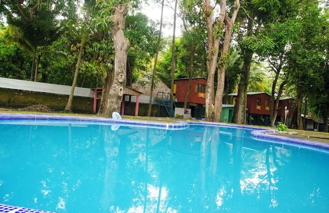 Tropical Escape @ Sunzal Surf City - Photo 20