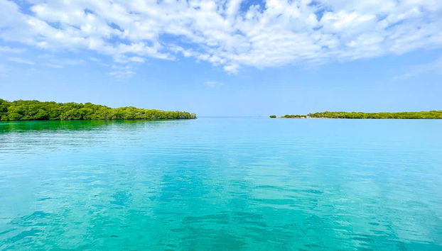 Vista delle acque cristalline di una delle Isole San Bernardo