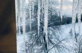 Il Rifugio nel Comero - Foto 2