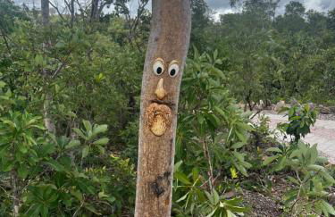 Rancho Aroeira - Foto 6