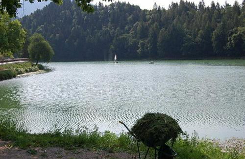 Residence Delta - Foto 37