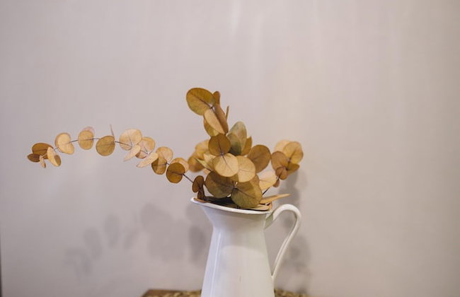 One&Lux Byron Suites - Foto 85