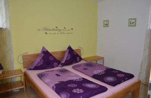 Ferienwohnungen Am Brunnen - Nähe Europapark, W-LAN, Klimaanlage - Foto 49