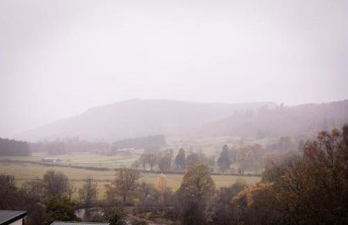 Number Five - Foto 6