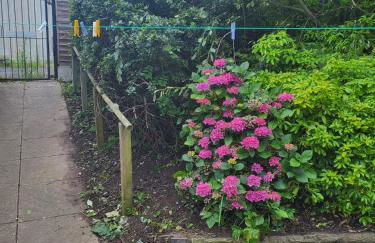 Family Bungalow sleeps 4 - Foto 19