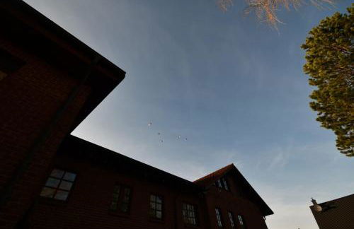 Ferienwohnung Boddenliebe - Foto 24