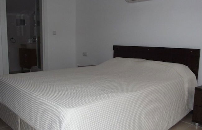 Terrace Life Palm Apart - Photo 8