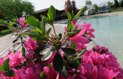 Agriturismo L'Acero Rosso - Foto 76