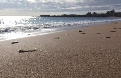 Όνειρο Dream - Foto 26