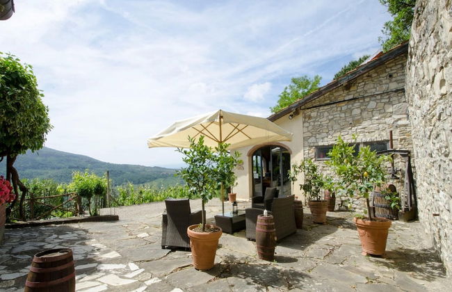 Agriturismo Poggio di Montepescoli - Il Forno - Foto 22