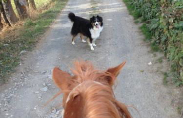 Agriturismo il Fiocco - Foto 18