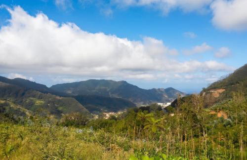 Charming house in Machico with mountain view and garden - Foto 40