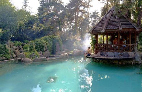 EXCL HOUSE in Warsaw with POOLS - Foto 15