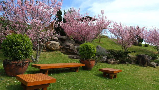 Soak up the serene atmosphere